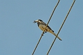 12 07 13_5062_edited-1